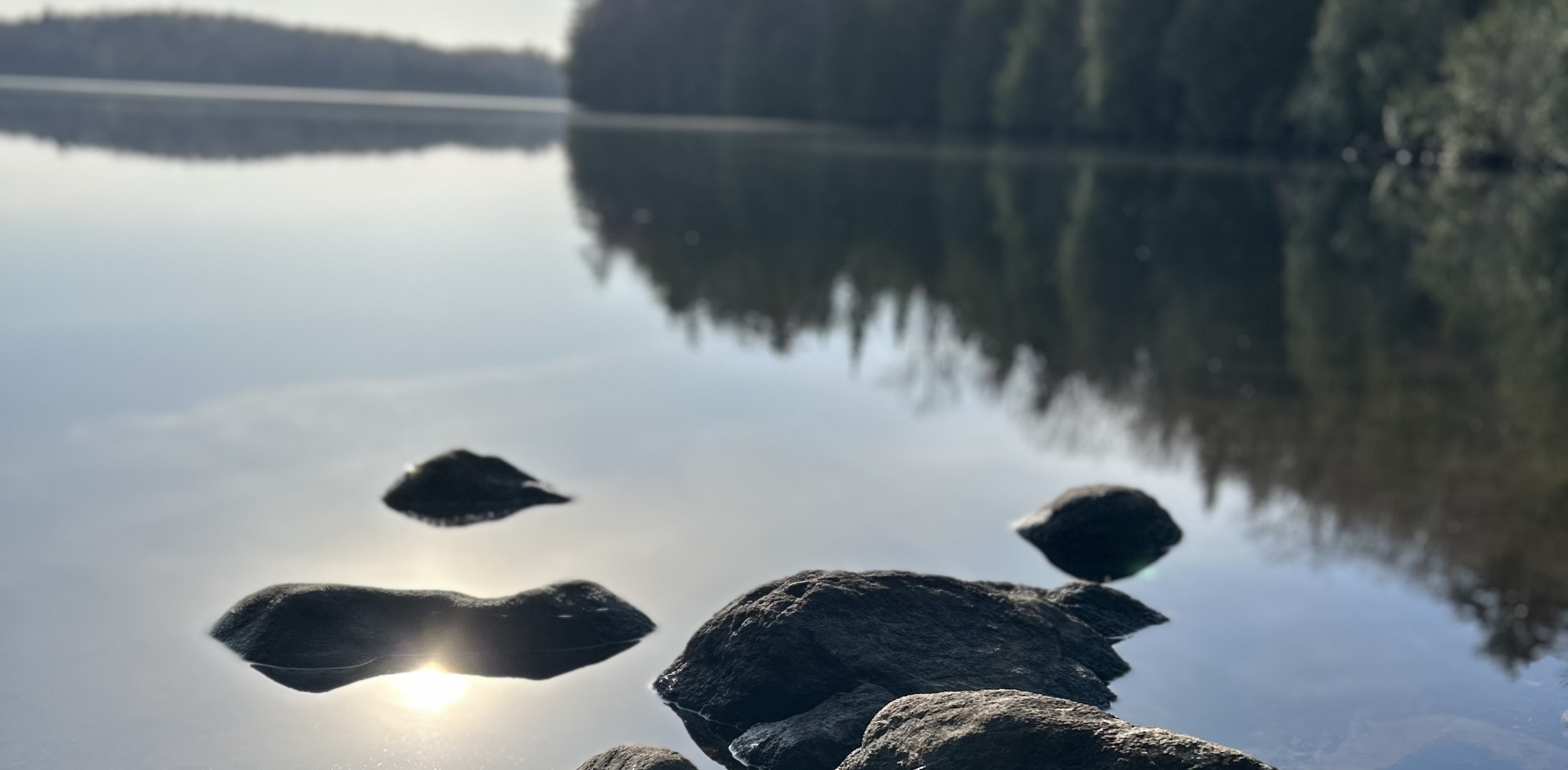 Gros plan sur de magnifiques rochers émergeant du Lac-des-Îles avec vue sur la forêt